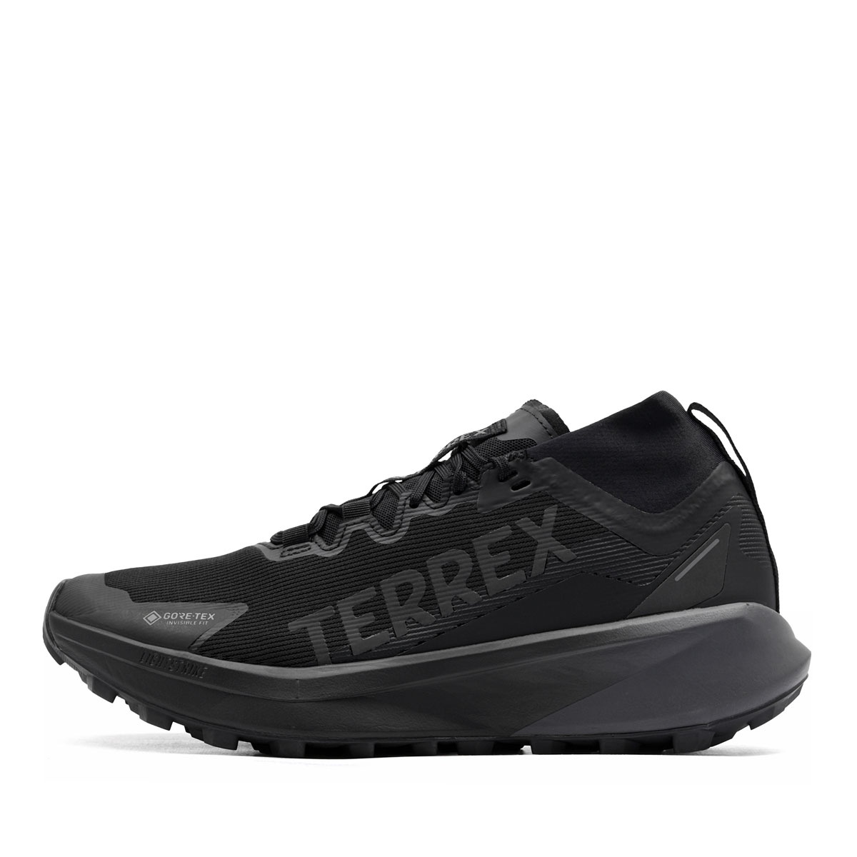adidas Terrex Agravic Gore-Tex Мъжки маратонки JR5240