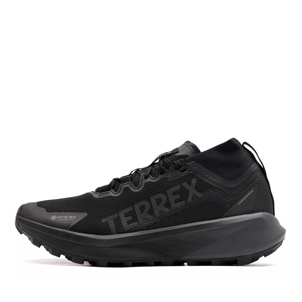 adidas Terrex Agravic Gore-Tex Мъжки маратонки JR5240