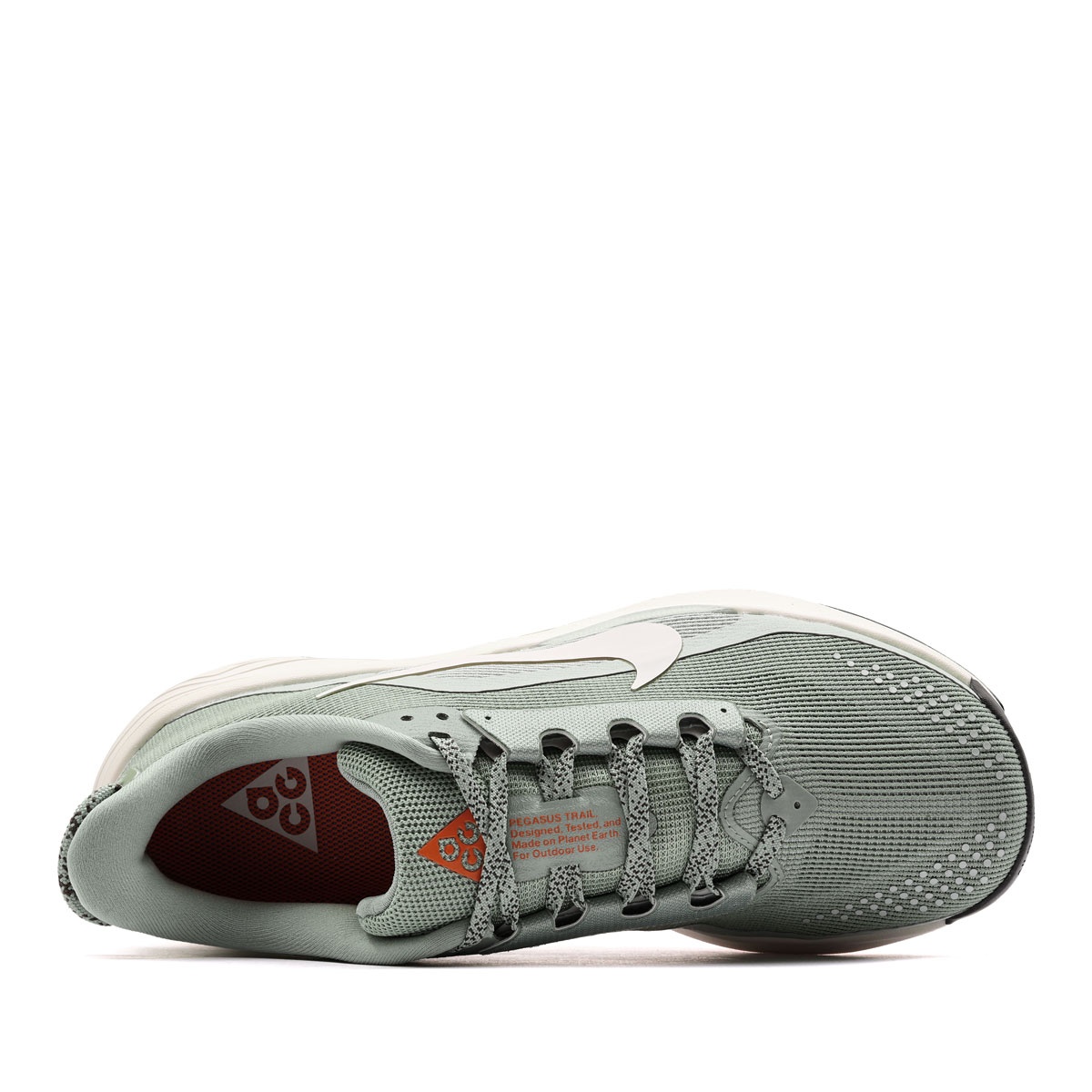 Nike ACG Pegasus Trail Мъжки маратонки HV8116-310