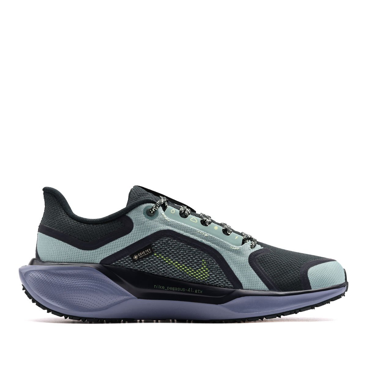 Nike Air Zoom Pegasus 41 Gore-Tex Мъжки маратонки FQ1356-006