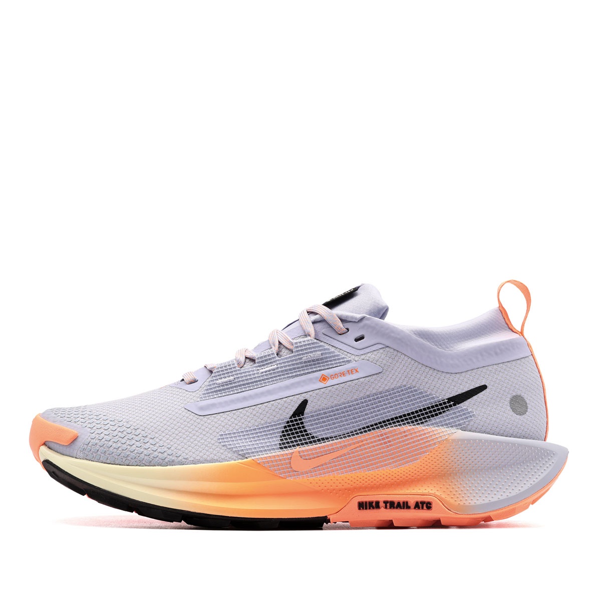 Nike Pegasus Trail 5 Gore-Tex Мъжки маратонки FQ0908-011