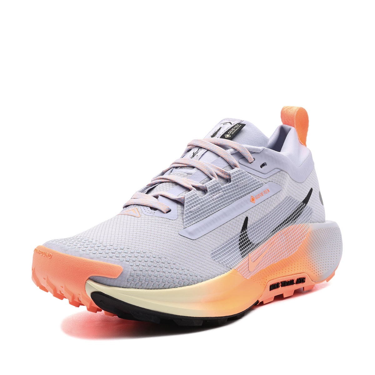 Nike Pegasus Trail 5 Gore-Tex Мъжки маратонки FQ0908-011