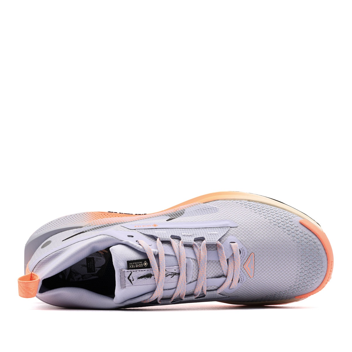 Nike Pegasus Trail 5 Gore-Tex Мъжки маратонки FQ0908-011