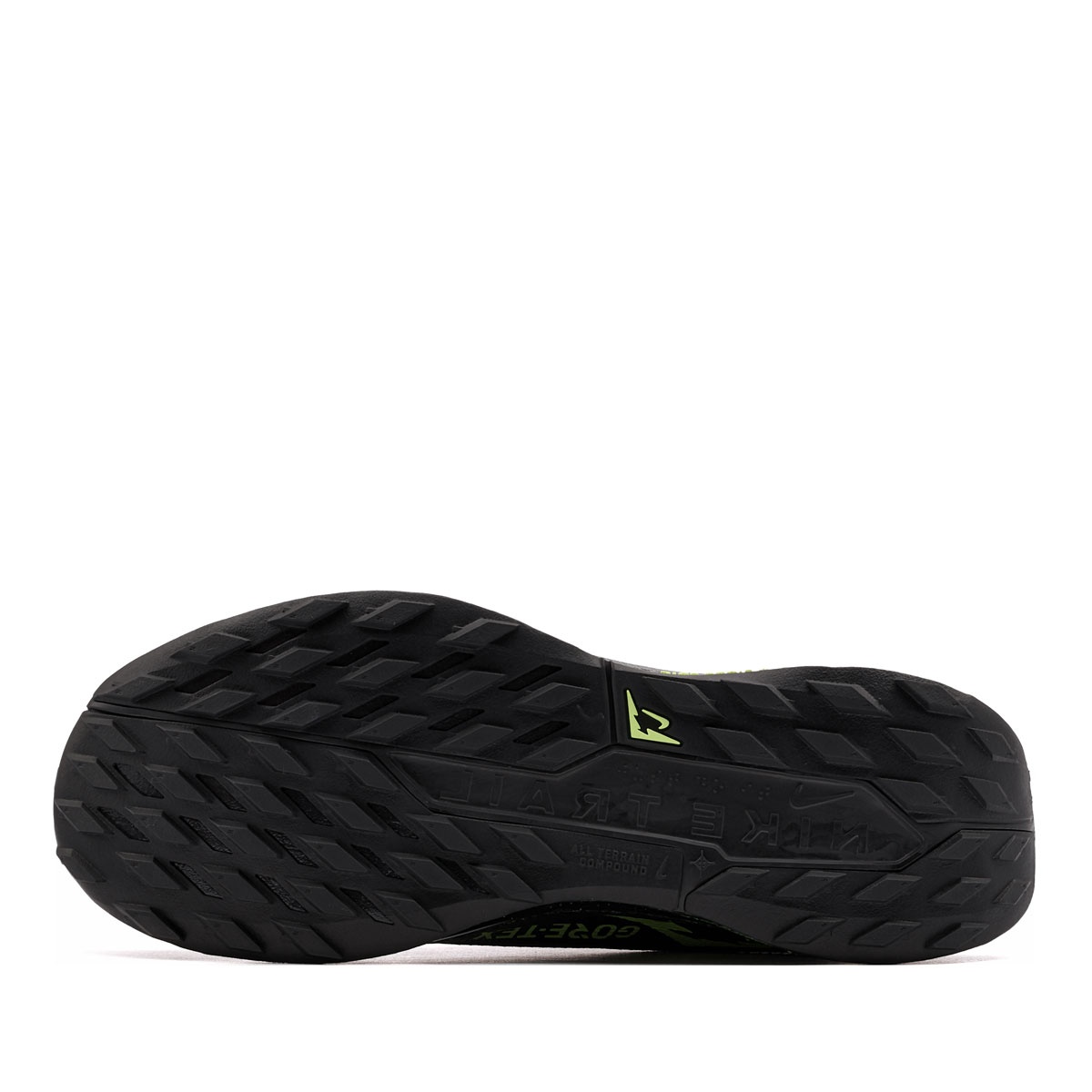 Nike Pegasus Trail 5 Gore-Tex Мъжки маратонки FQ0908-014