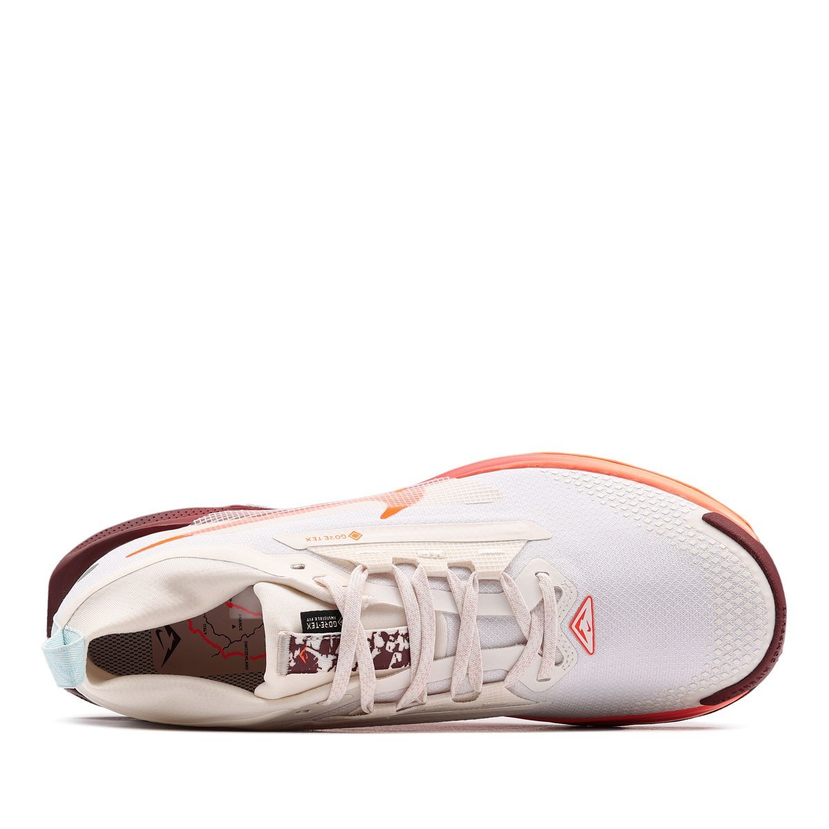 Nike Pegasus Trail 5 Gore-Tex Мъжки маратонки FQ0908-104