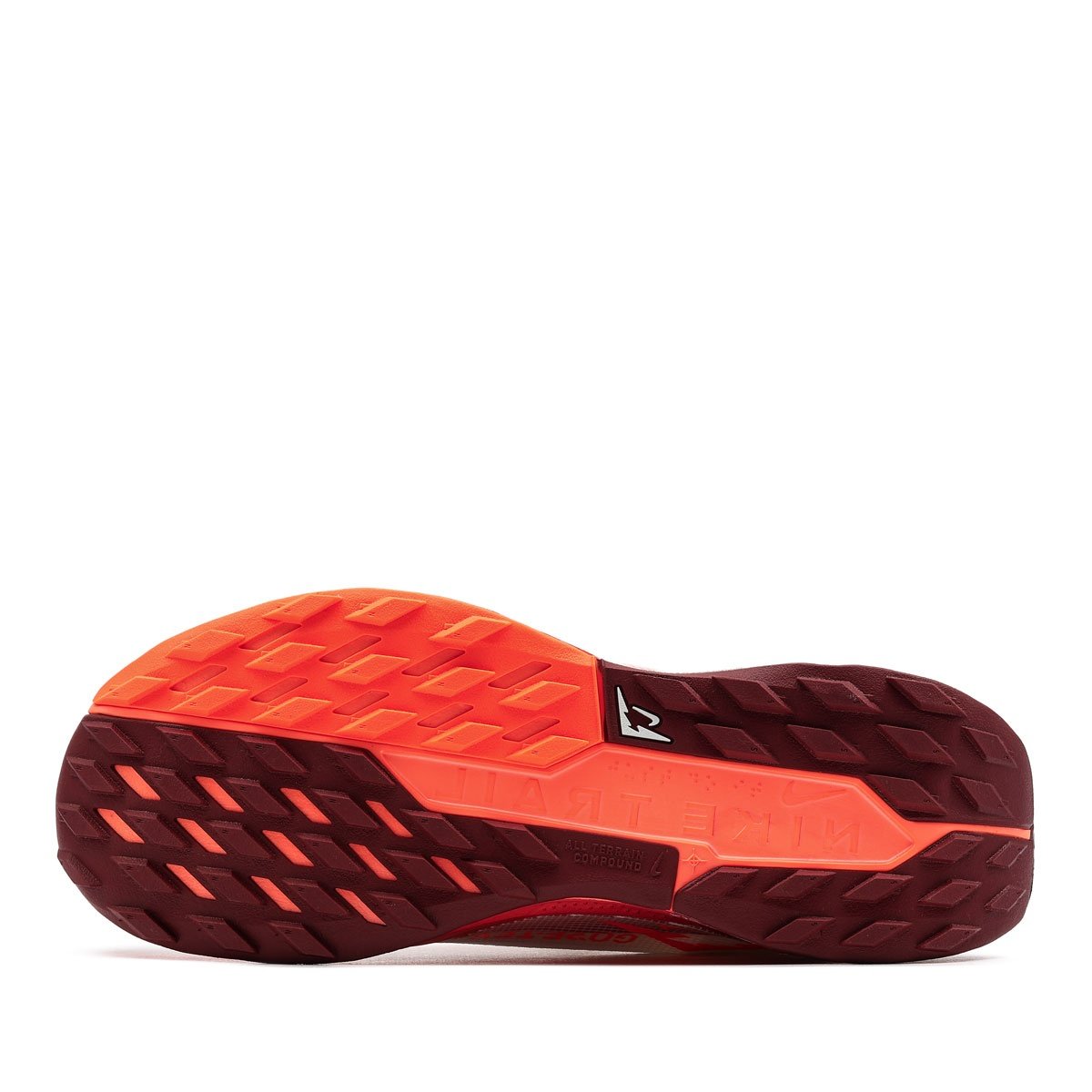 Nike Pegasus Trail 5 Gore-Tex Мъжки маратонки FQ0908-104