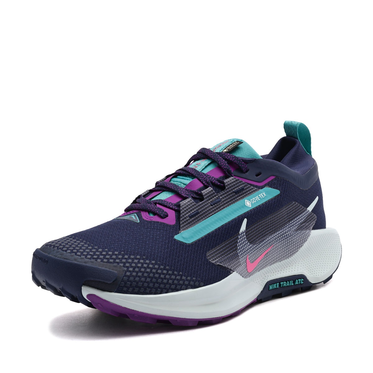 Nike Pegasus Trail 5 Gore-Tex Мъжки маратонки FQ0908-403