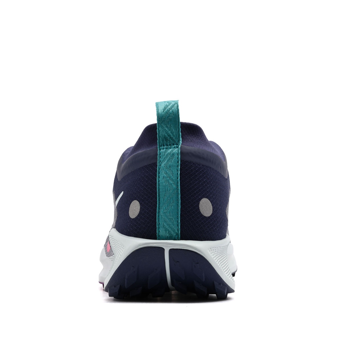 Nike Pegasus Trail 5 Gore-Tex Мъжки маратонки FQ0908-403