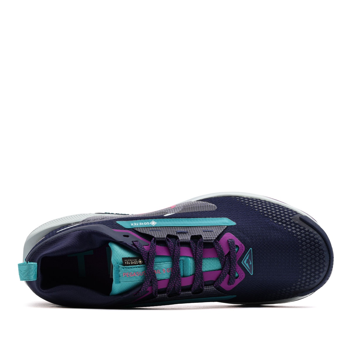 Nike Pegasus Trail 5 Gore-Tex Мъжки маратонки FQ0908-403