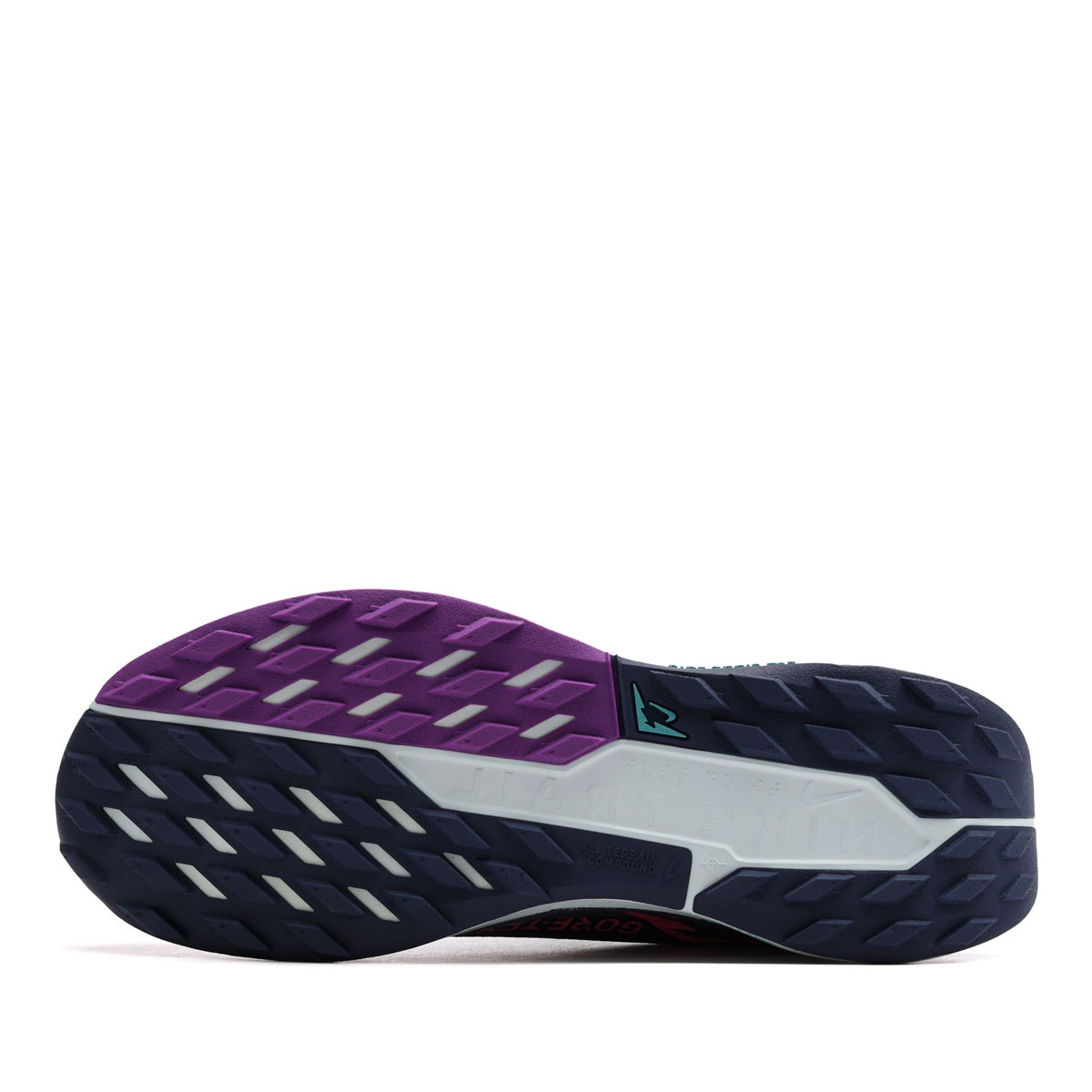 Nike Pegasus Trail 5 Gore-Tex Мъжки маратонки FQ0908-403