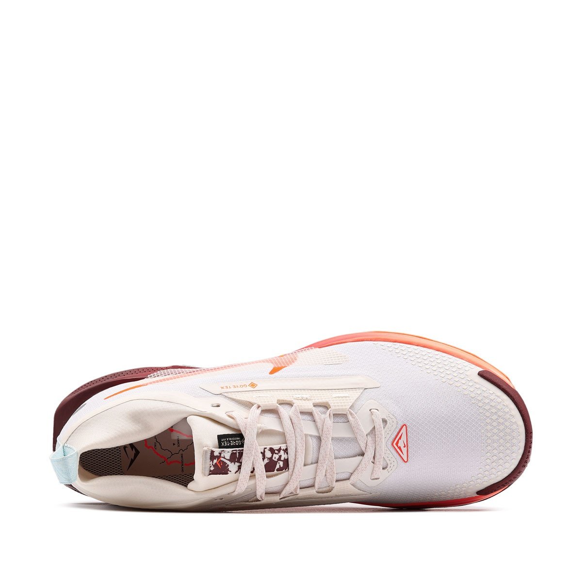 Nike Pegasus Trail 5 Gore-Tex Дамски маратонки FQ0912-104