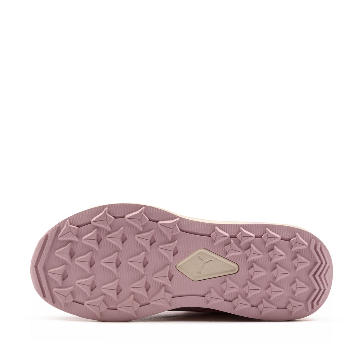 Puma Evolve 2.0 Trail Puretex Lo Маратонки 313806-03
