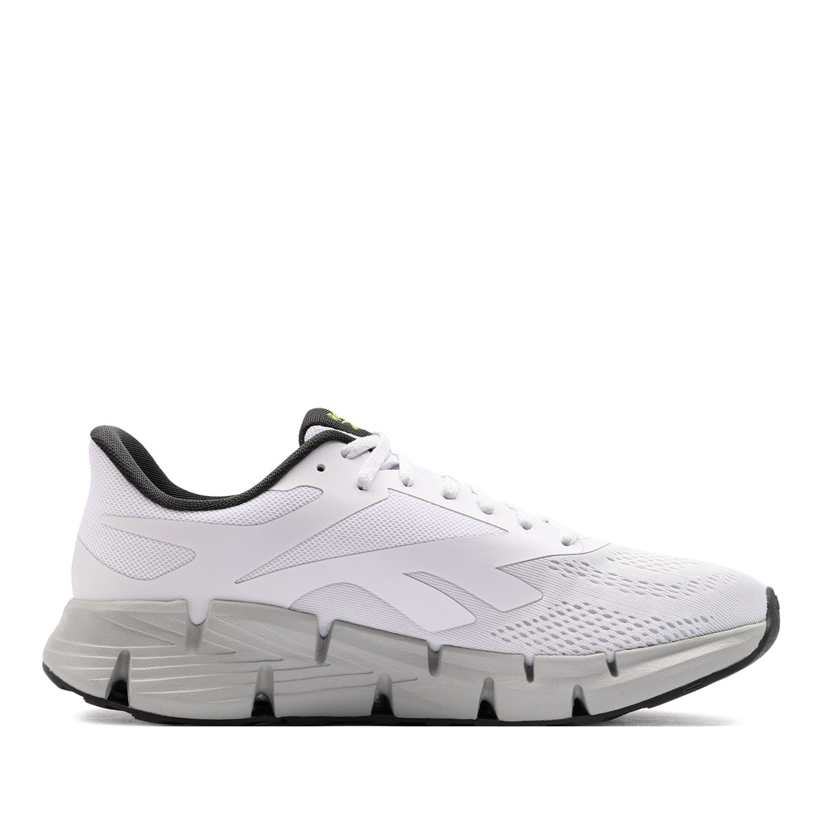 Reebok Zig Dynamica 6 Мъжки маратонки 100244518