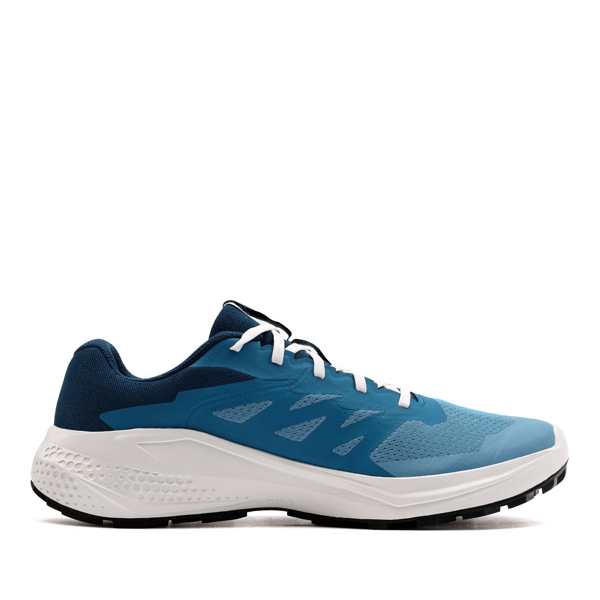 Salomon Alphaglide Мъжки маратонки 480004