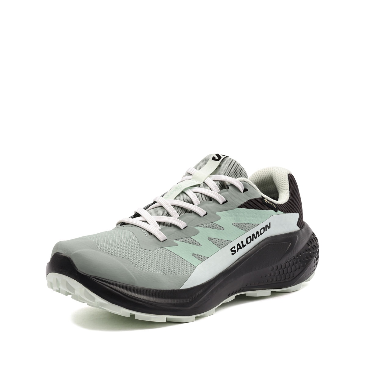 Salomon Alphaglide Gore-Tex Дамски маратонки 491425