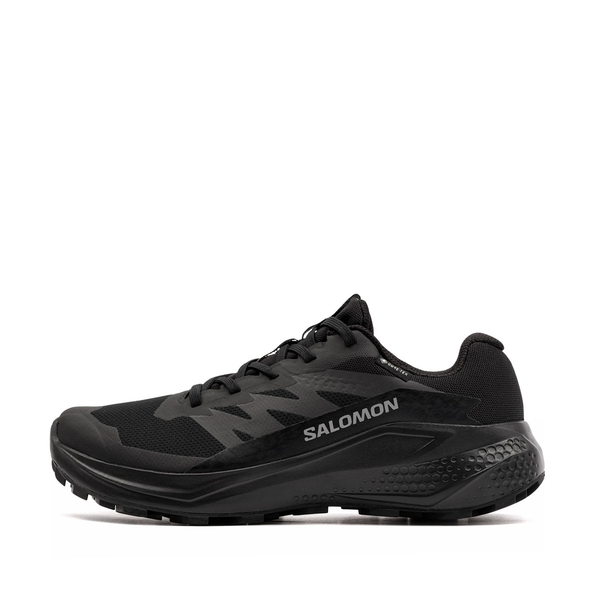 Salomon Alphaglide Gore-Tex Дамски маратонки 492144