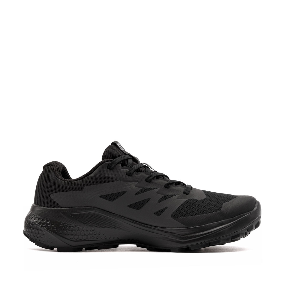 Salomon Alphaglide Gore-Tex Дамски маратонки 492144