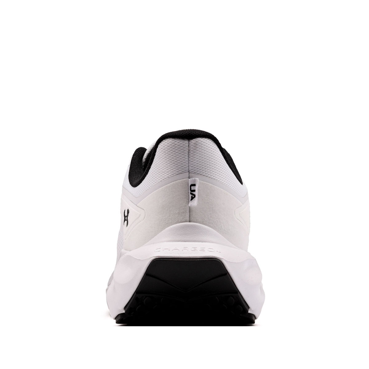 Under Armour Ascend Мъжки маратонки 6009827-100