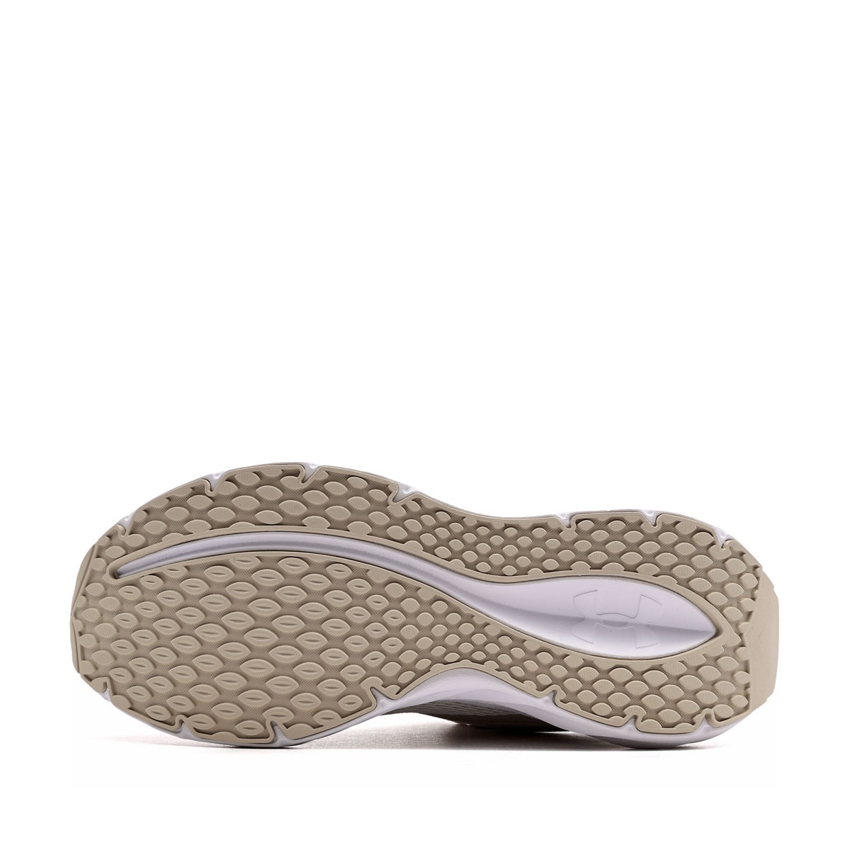 Under Armour Ascend Дамски маратонки 6009828-110