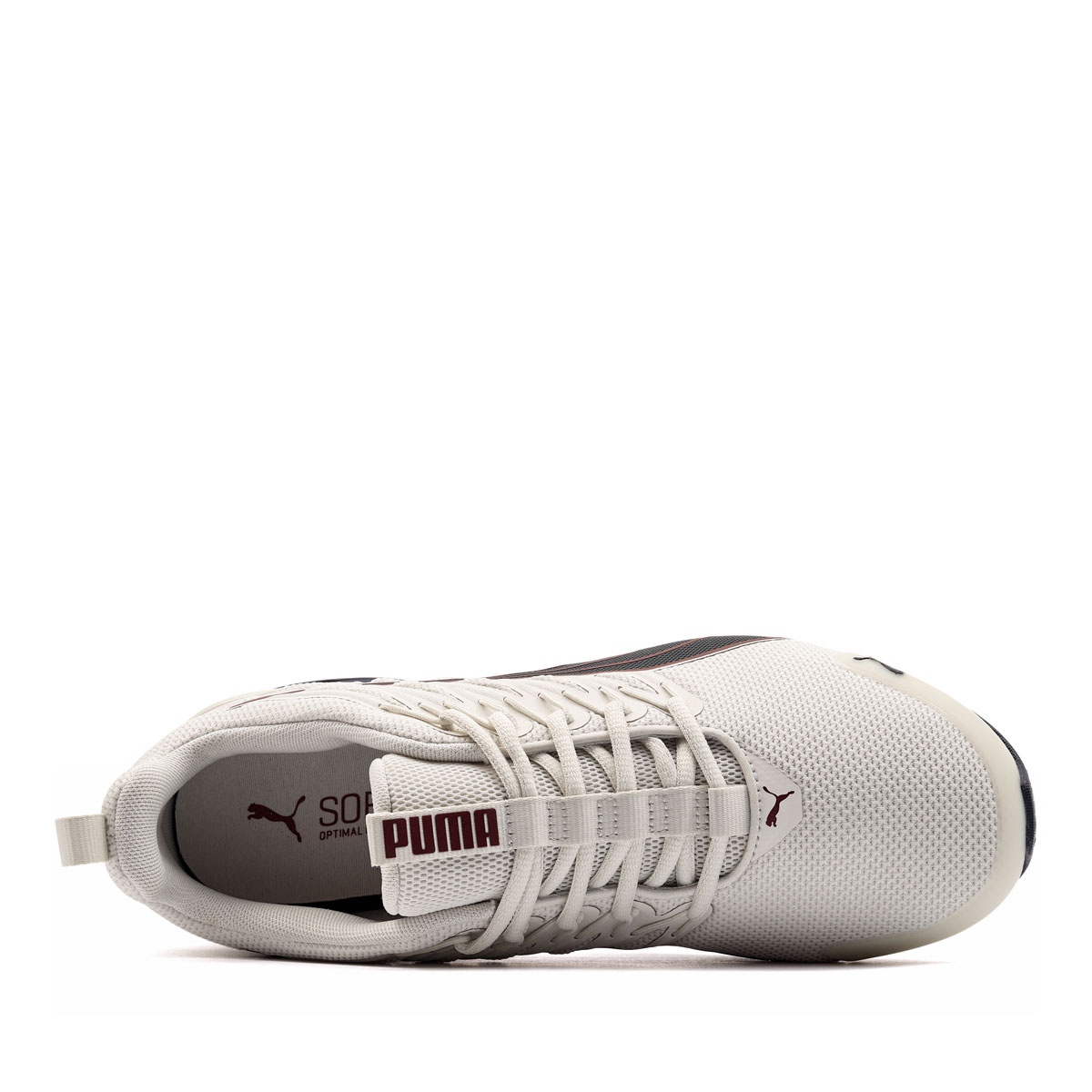 Puma Voltaic Evo Мъжки спортни обувки 379601-41