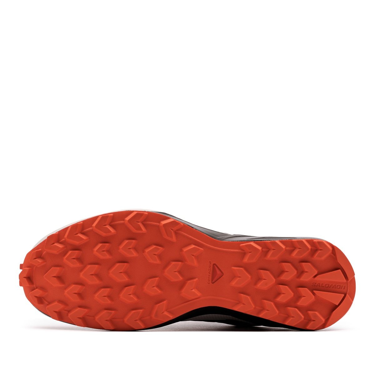 Salomon Speedcross Peak Gore-Tex Мъжки спортни обувки 478528