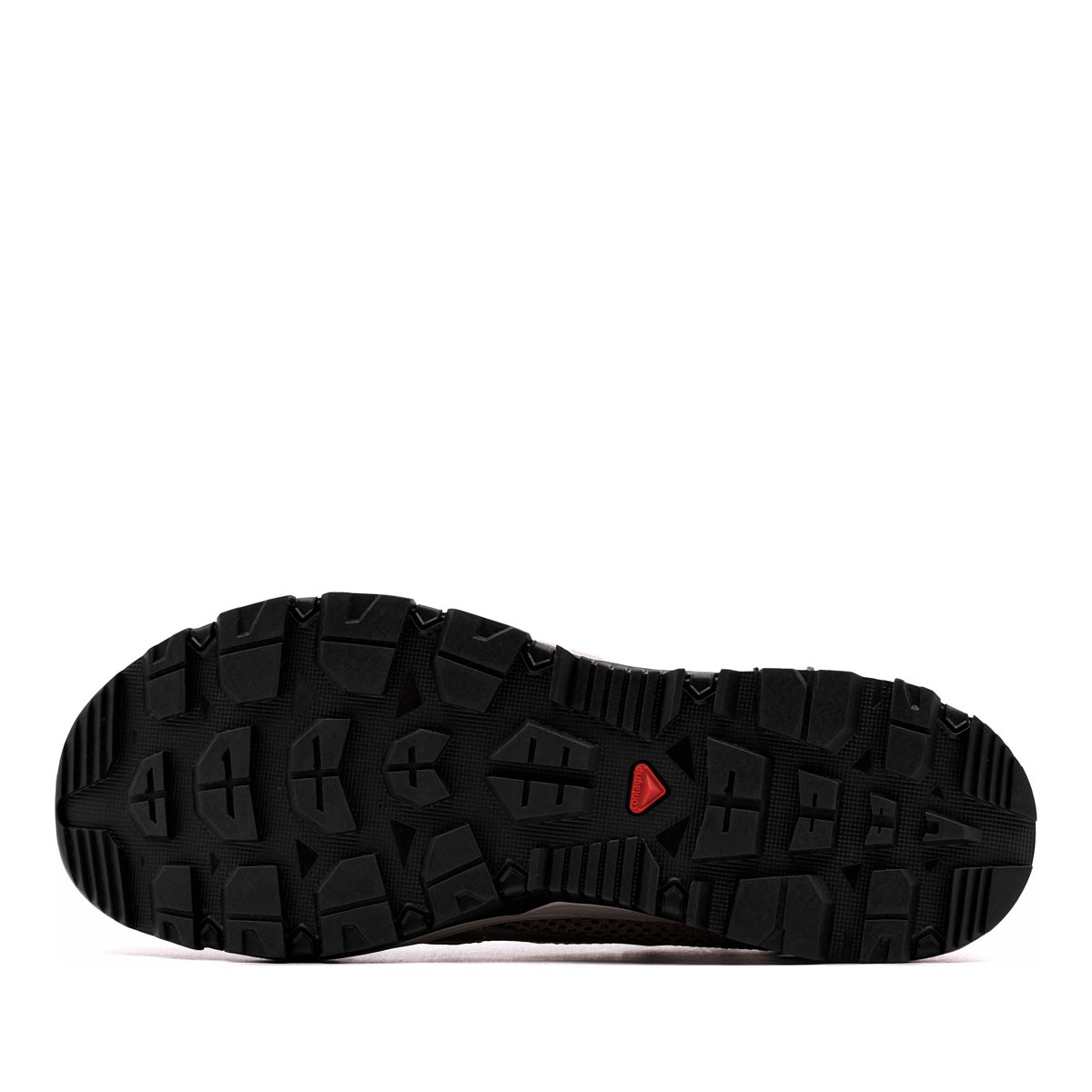 Salomon Techamphibian 5 Мъжки спортни обувки 491042