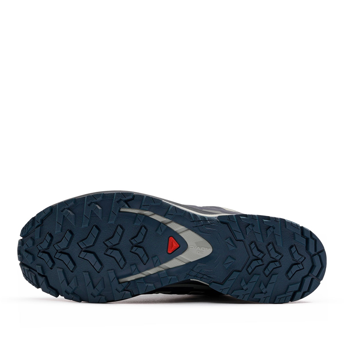 Salomon XA Pro 3D V9 Gore-Tex Мъжки спортни обувки 491992