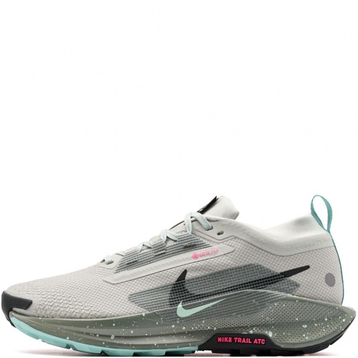 Nike Pegasus Trail 5 Gore-Tex Мъжки маратонки FQ0908-013