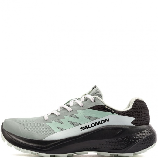 Salomon Alphaglide Gore-Tex Дамски маратонки 491425