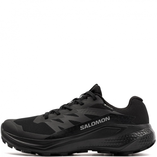 Salomon Alphaglide Gore-Tex Дамски маратонки 492144