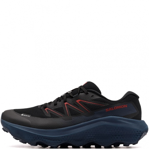 Salomon Ultra Flow 2 Gore-Tex Мъжки маратонки 492273