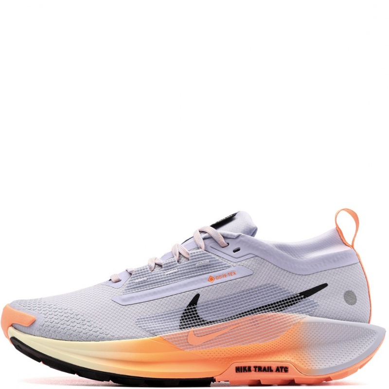 Nike Pegasus Trail 5 Gore-Tex Мъжки маратонки FQ0908-011