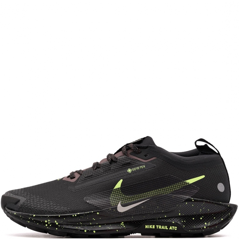 Nike Pegasus Trail 5 Gore-Tex Мъжки маратонки FQ0908-014