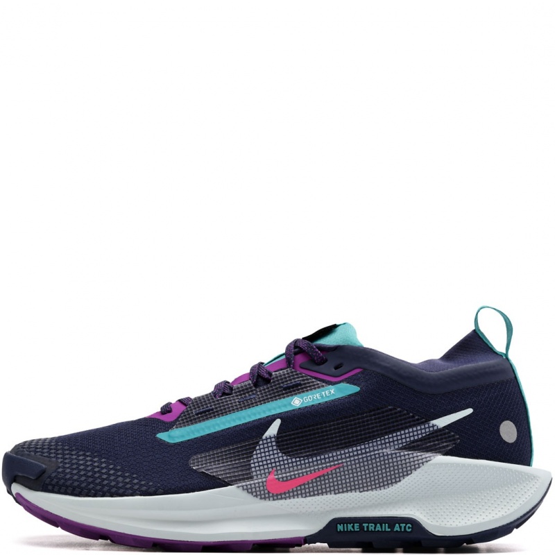 Nike Pegasus Trail 5 Gore-Tex Мъжки маратонки FQ0908-403