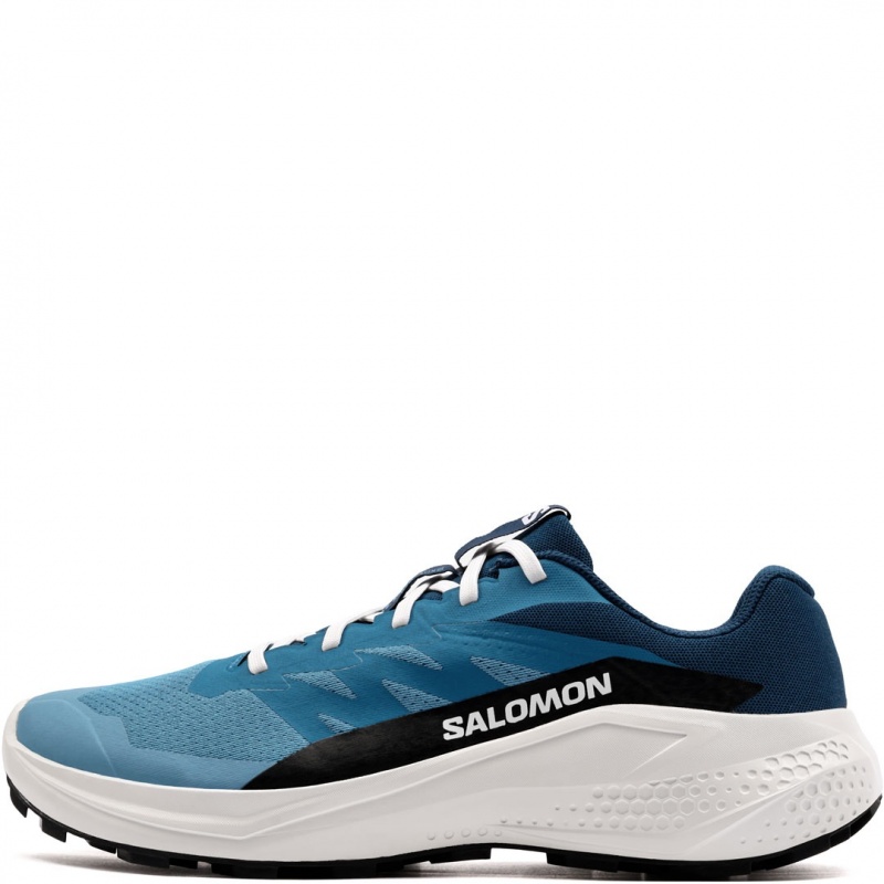 Salomon Alphaglide Мъжки маратонки 480004