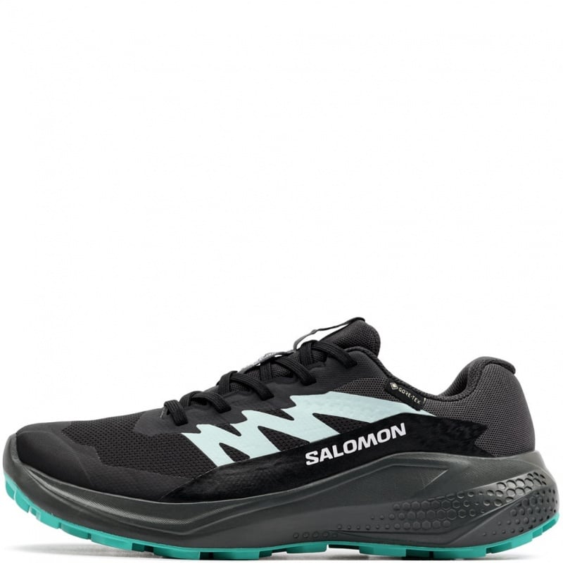 Salomon Alphaglide Gore-Tex Дамски маратонки 478024
