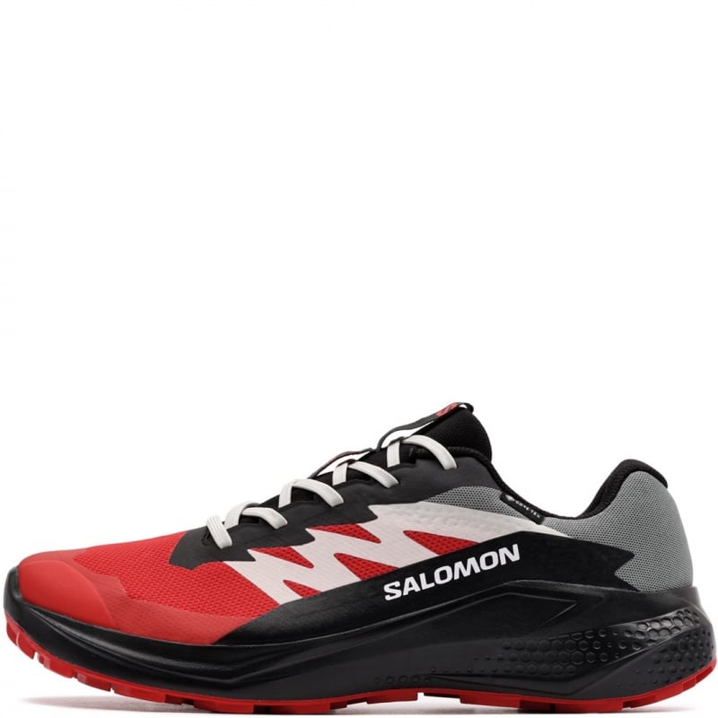 Salomon Alphaglide Gore-Tex Мъжки маратонки 479752