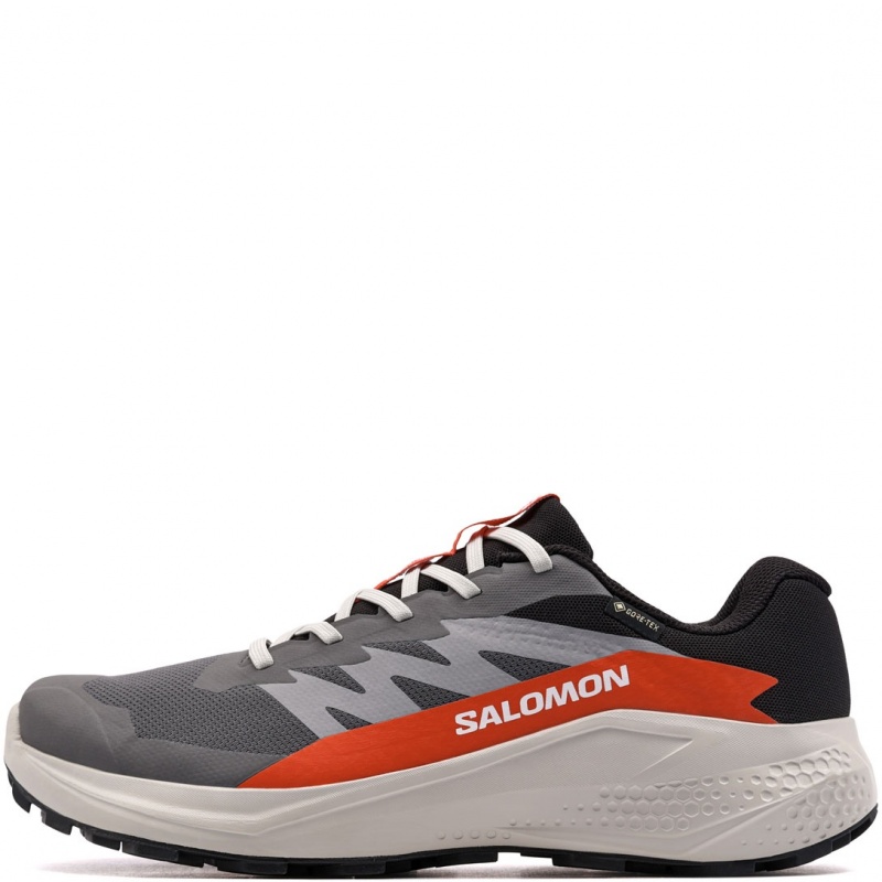 Salomon Alphaglide Gore-Tex Мъжки маратонки 479753