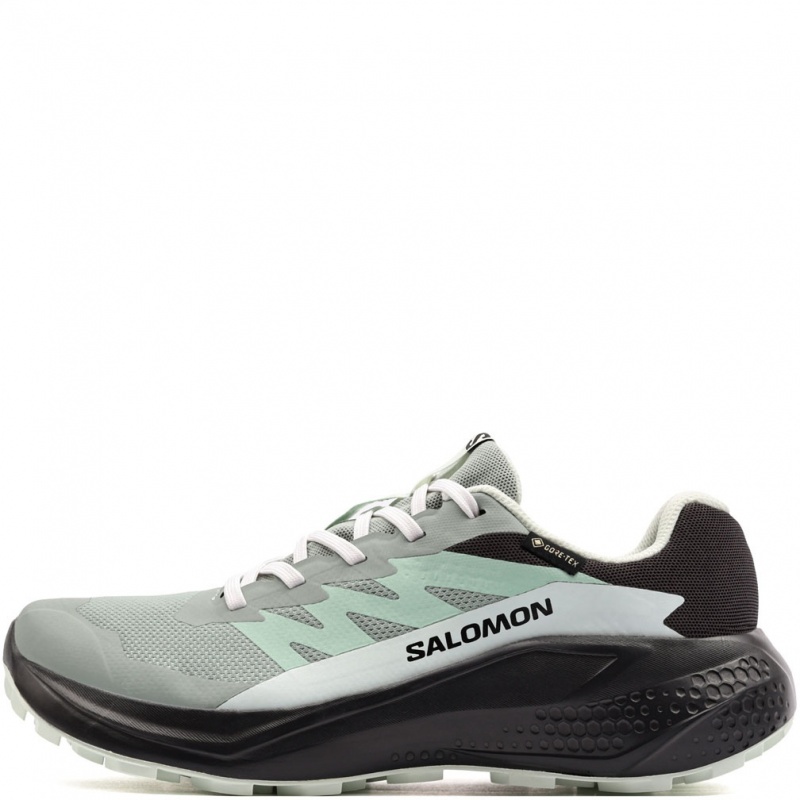 Salomon Alphaglide Gore-Tex Дамски маратонки 491425