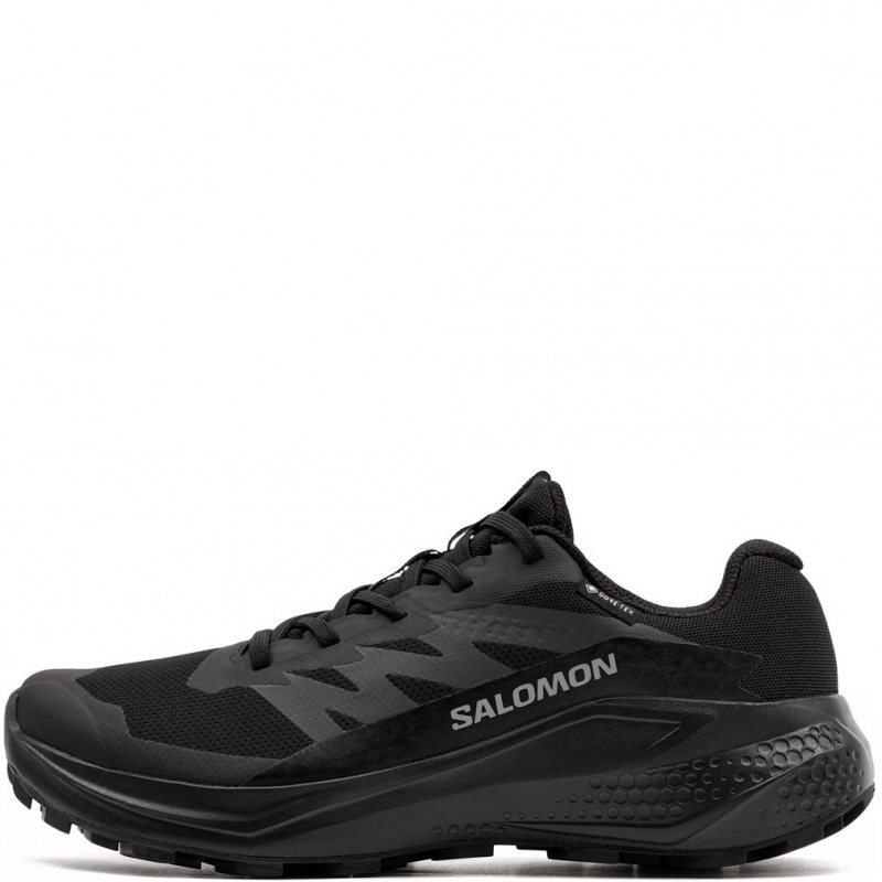 Salomon Alphaglide Gore-Tex Дамски маратонки 492144