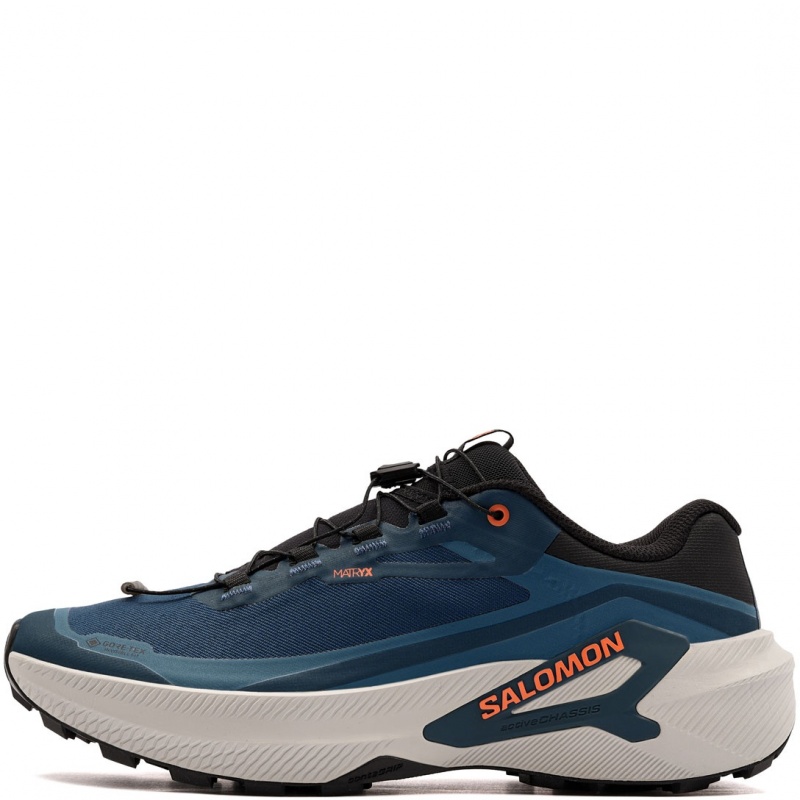 Salomon Genesis 2 Gore-Tex Мъжки маратонки 493014