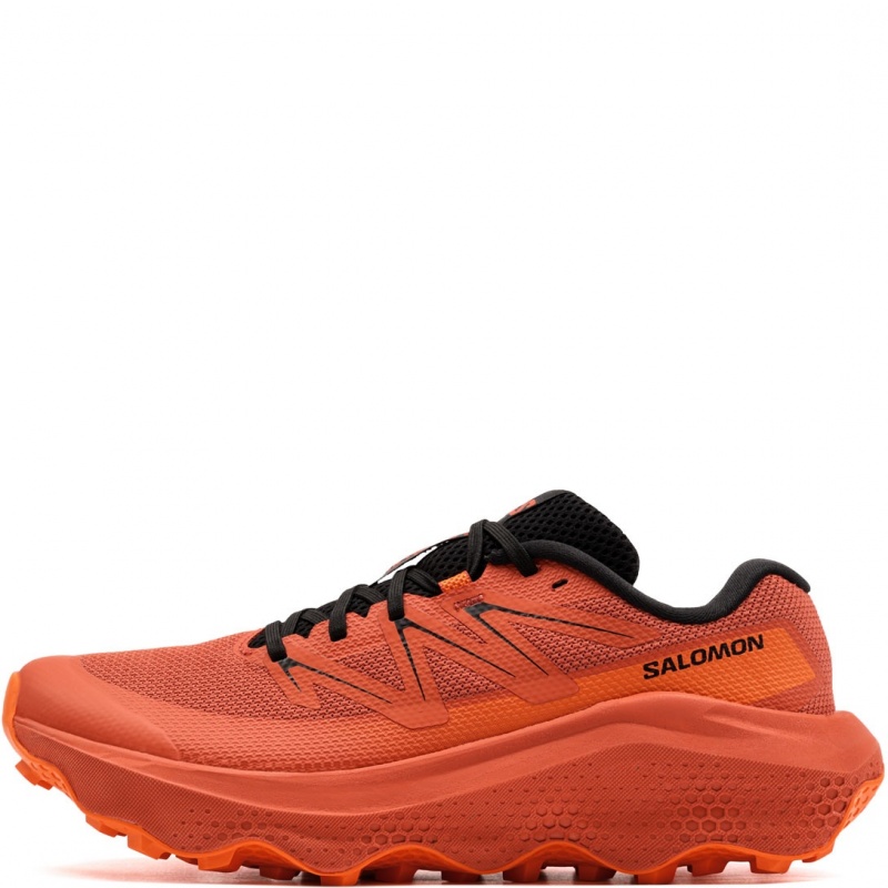 Salomon Ultra Flow 2 Мъжки маратонки 492215