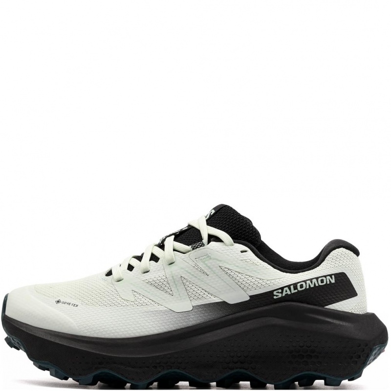 Salomon Ultra Flow 2 Gore-Tex Дамски маратонки 492996