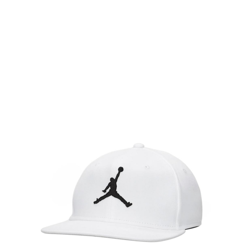 Nike Jordan Pro Cap Шапка FV5296-100