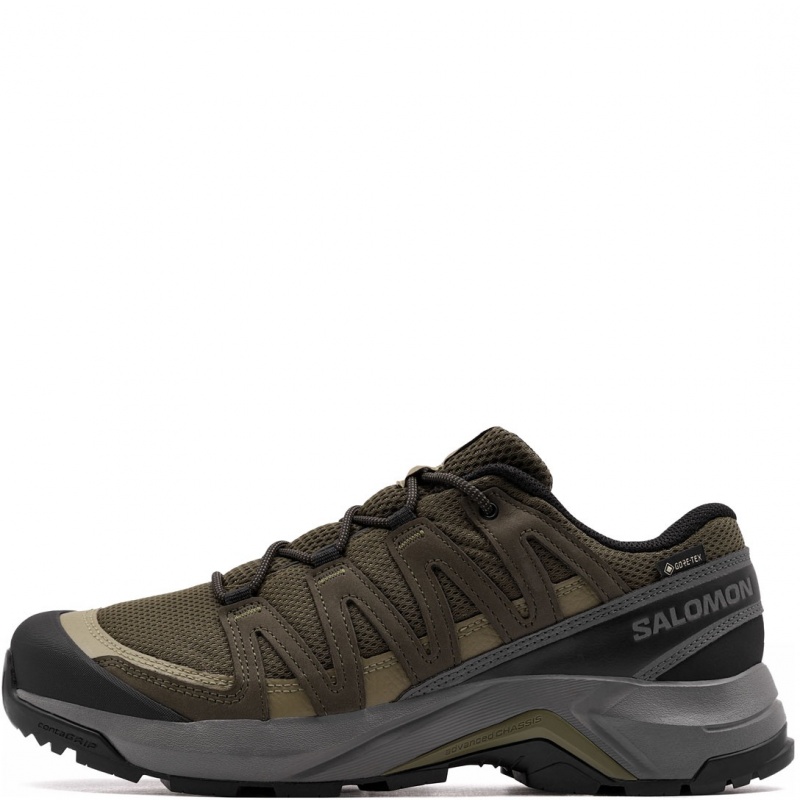 Salomon X-Adventure Recon Gore-Tex Мъжки спортни обувки 478132