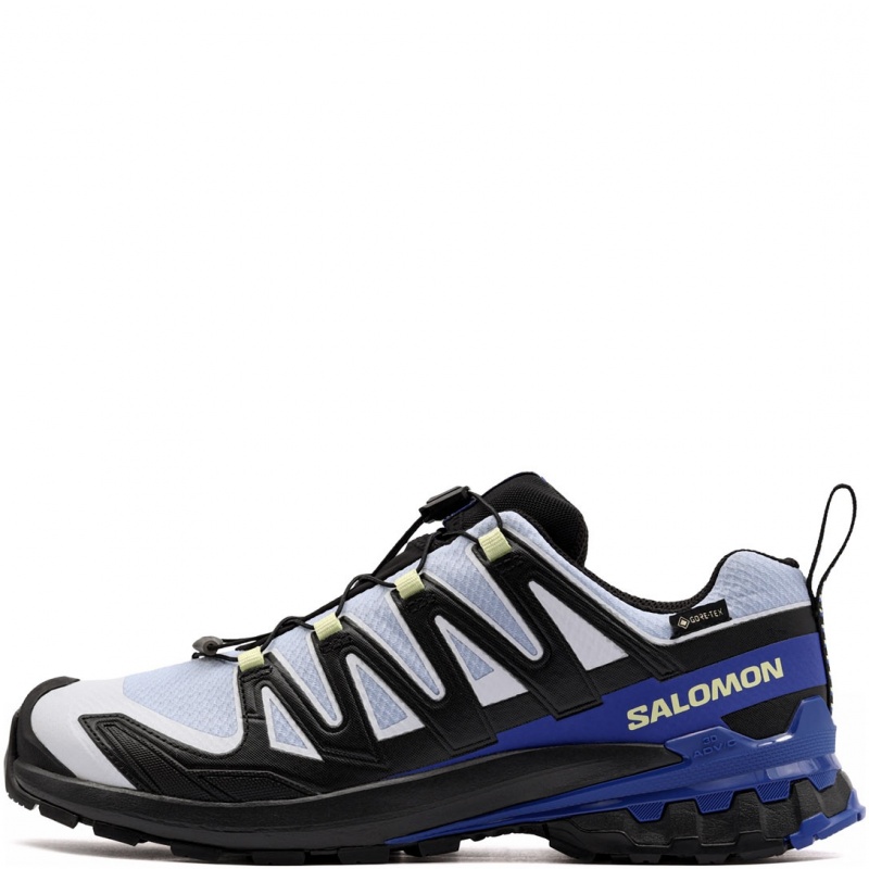 Salomon XA Pro 3D V9 Gore-Tex Icon Мъжки спортни обувки 454865